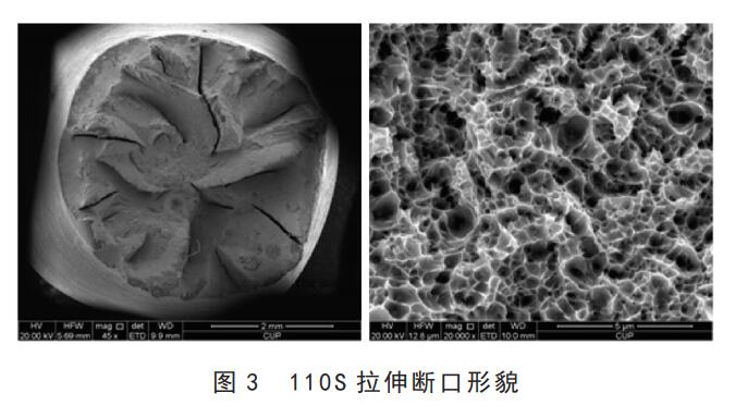 110S斷口形貌